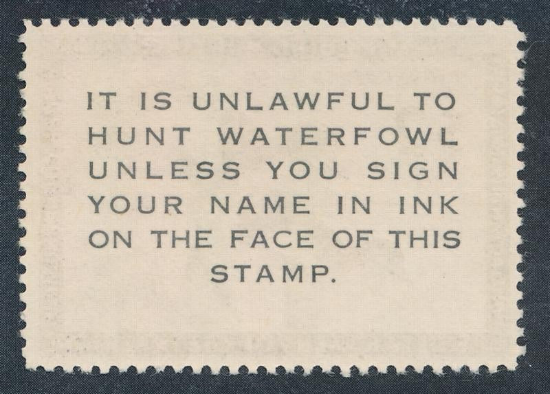 (US) RW21 MINT F-VF+ LH $2 RING NECK