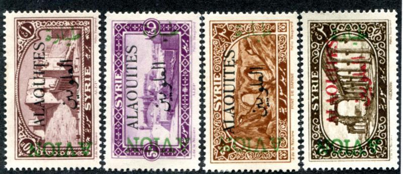 Alaouites C5-8 MLH