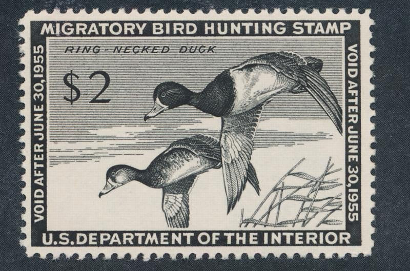 (US) RW21 MINT F-VF+ LH $2 RING NECK