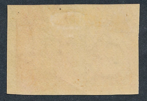 373 U.S. FINE HINGED IMPERF