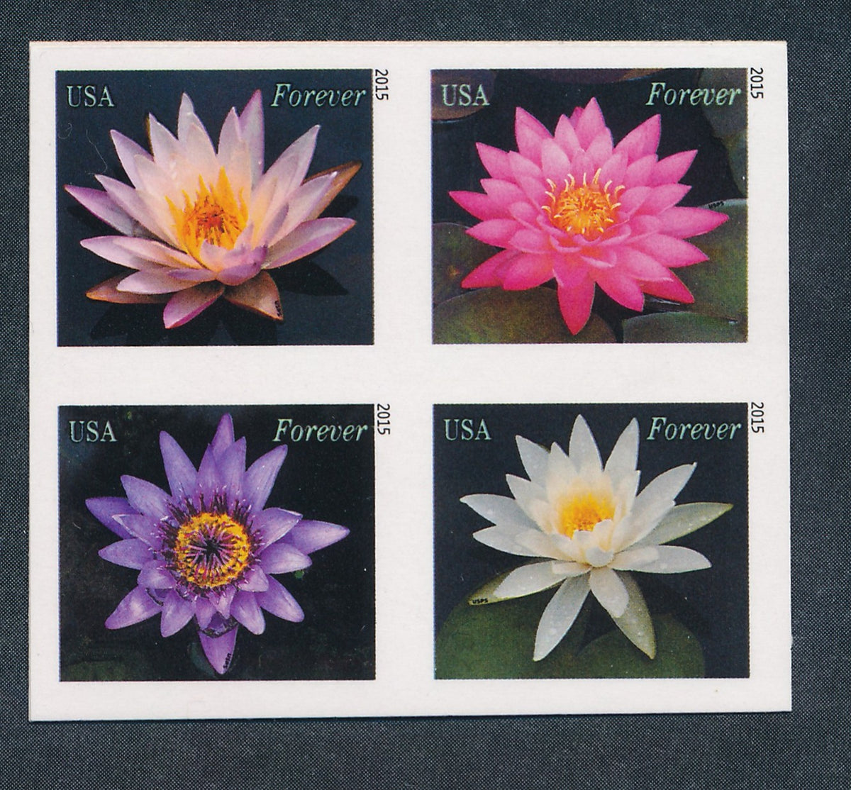 4964-67 U.S. MINT VF NH IMPERF BLK 4 (#35088)